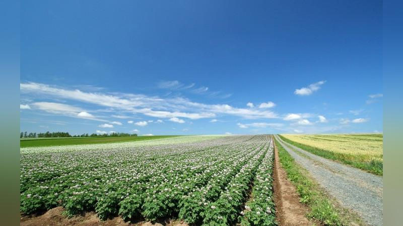 Изрображение 'В Узбекистане будут активно осваивать земли по краям полей'