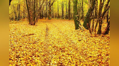 'ЭРТАГА ҲАВО ҲАРОРАТИ 3 ДАРАЖАГАЧА СОВУШИ МУМКИН'ning rasmi