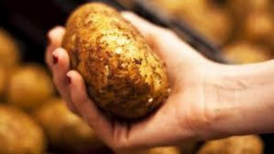 Изрображение 'КАРТОФЕЛЬ И ЛУК: ОЖИДАТЬ ЛИ ЗИМОЙ ДЕФИЦИТА? '