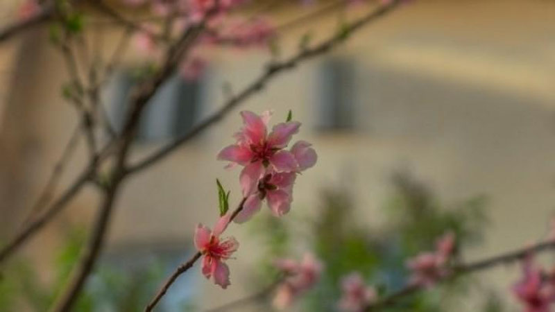 'Bugun O`zbekiston bo`yicha yog`ingarchilik kutilmaydi, faqat...'ning rasmi