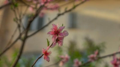 'Bugun O`zbekiston bo`yicha yog`ingarchilik kutilmaydi, faqat...'ning rasmi