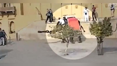 Изрображение 'Разъяренный слон чуть не убил туристку в Индии (видео)'