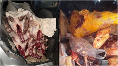 Изрображение 'На рынке в Навои изъяли 270 кг непригодного к употреблению мяса'