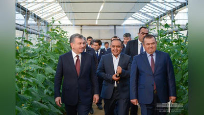 'Prezident tejamkor issiqxonalarni ko`paytirish bo`yicha topshiriq berdi'ning rasmi