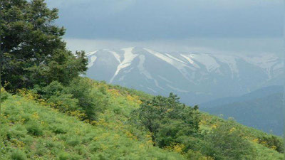 '​Франция элчихонаси ходими Чимёнда ҳалок бўлди'ning rasmi