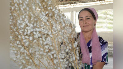 'Qoraqalpog`istonlik pillakorlar rejani 100.2 % ga bajardi'ning rasmi