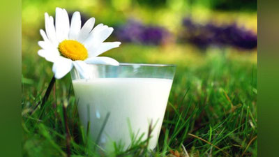 Изрображение 'ПОКУПАТЬ МОЛОКО НА УЛИЦЕ ИЛИ В МАГАЗИНЕ?'