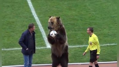 'Россияда футбол матчини айиқ очиб берди (Видео)'ning rasmi