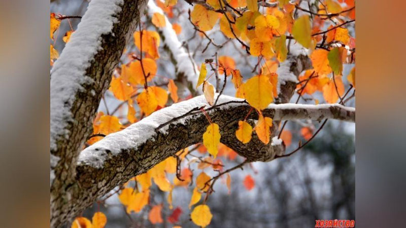 'HAFTA OXIRIDA MAMLAKATIMIZDA QOR YoG`IShI MUMKIN'ning rasmi