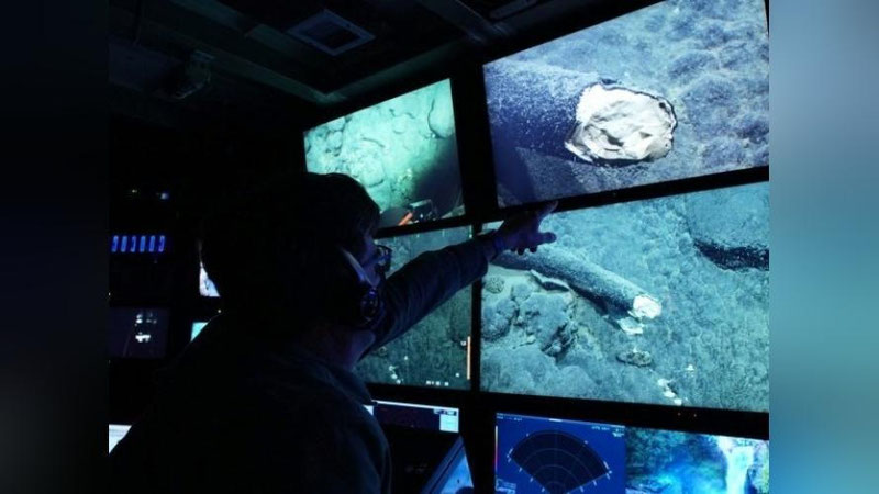 'Tinch okeani tubida muzlik davridan beri yashab kelayotgan hayvon topildi'ning rasmi