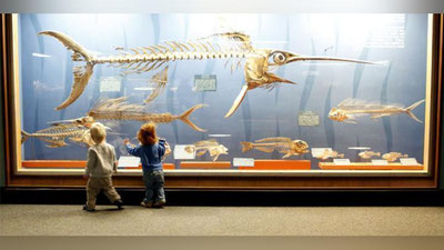 '18 may - Xalqaro muzeylar kuni!'ning rasmi