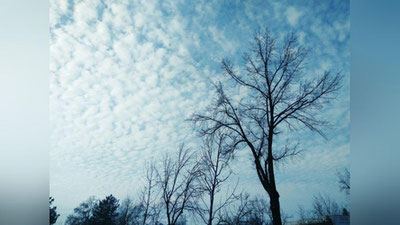 Изрображение 'ПРОГНОЗ ПОГОДЫ НА 29 МАРТА'