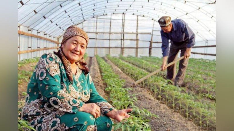 'Uyda o`tirgan ayollarga ham mehnat daftarchasi ochiladi'ning rasmi