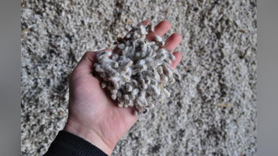 'Urug`lik paxta etishtirishni moliyalashtirish tartibi belgilandi'ning rasmi