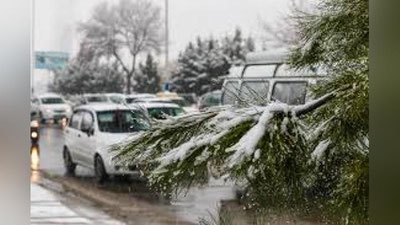 '12 yanvar kuni mamlakatimizda yog`ingarchilik bo`lmaydi 'ning rasmi