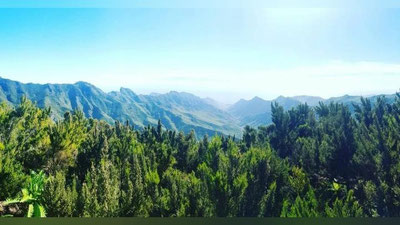 'Bugun qanday ob-havo kuzatiladi? "O`zGidromet" ma`lumot berdi'ning rasmi