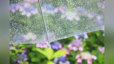 'Ertaga 8 ta viloyatda yomg`ir yog`ishi kutilmoqda'ning rasmi