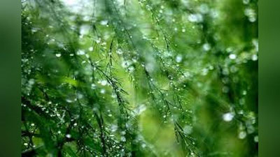 'Bugun O`zbekistonning uchta viloyatida yomg`ir yog`ishi kutilmoqda'ning rasmi