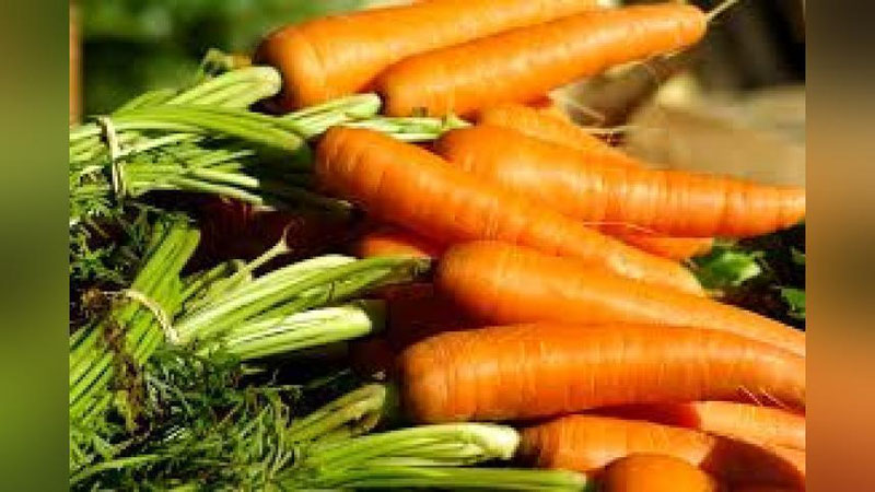 'Sabzi narxi nega qimmatlashdi?'ning rasmi