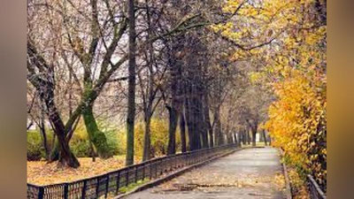 'Бугун Ўзбекистонда ҳаво 17 даража илиқгача кўтарилади'ning rasmi