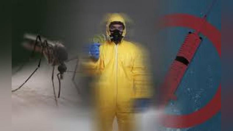 'Er yuzida Zika virusi, denge va chikungunya isitmalari bilan kasallanish holatlari ko`payishi kutilmoqda — JSST'ning rasmi