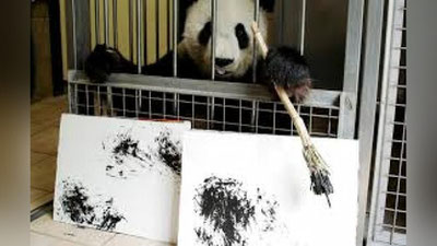 'Rassom-panda paydo bo`ldi'ning rasmi