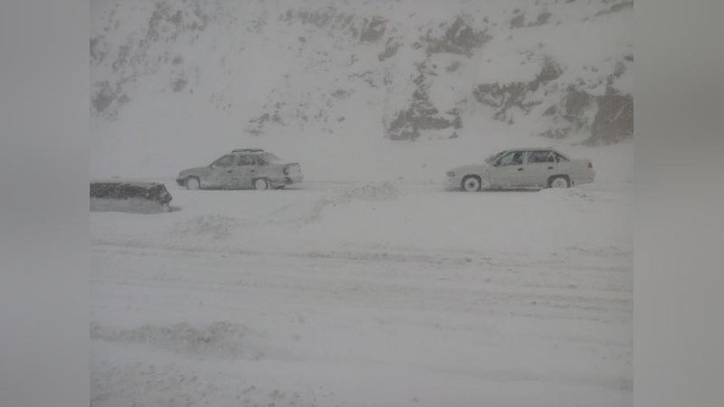 Изрображение 'МЧС предупредило водителей о сильном снеге '
