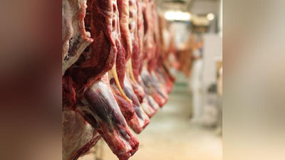 'Erdan unumli foydalanmaslik oqibatida xorijdan qariyb 100 mln dollarlik go`sht uchun qoramol import qilingan'ning rasmi