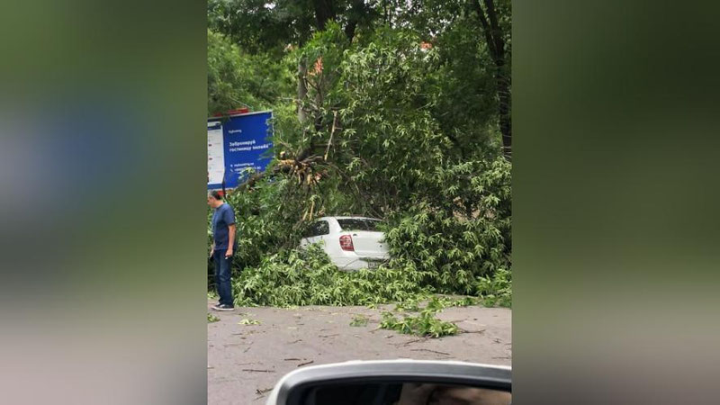 Изрображение 'Фото: Последствия сильного ветра в Ташкенте'