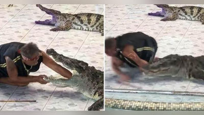 'Timsoh shou payti hayvon o`rgatuvchining qo`lini tishlab uzib olishiga bir bahya qoldi (Video)'ning rasmi