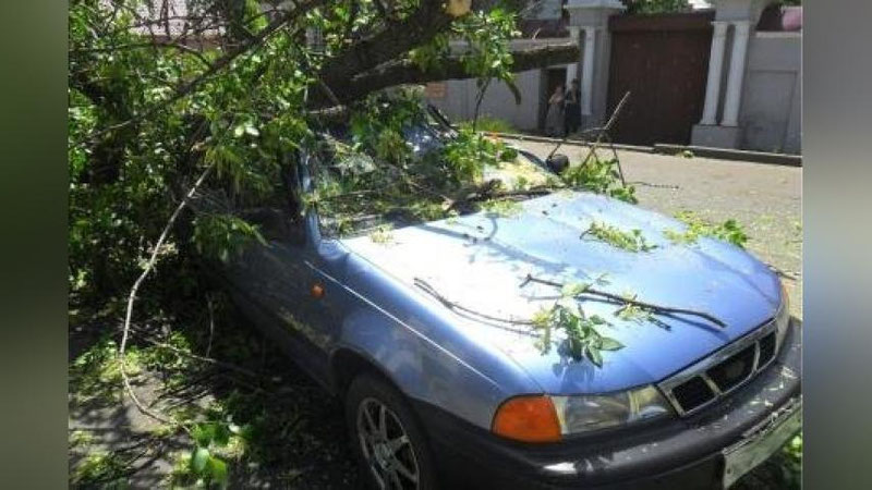 Изрображение 'В Ташкенте от последствий сильного ветра пострадали автомобили '