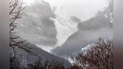 'Prezident Shavkat Mirziyoev Qozog`iston rahbariga hamdardlik bildirdi'ning rasmi