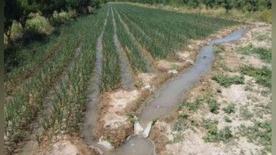 'Suvni isrof qilgan fermer xo`jaliklari va fuqarolar jazoga tortildi'ning rasmi