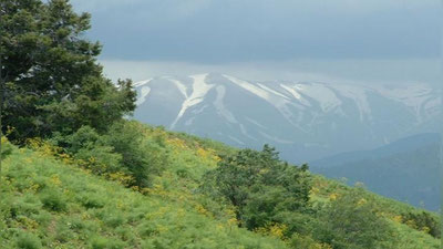Изрображение 'СОТРУДНИК ПОСОЛЬСТВА ФРАНЦИИ РАЗБИЛСЯ В ЧИМГАНЕ'