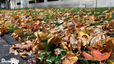 Изрображение 'В Ташкенте к вечеру дождь: погода на 11 ноября'