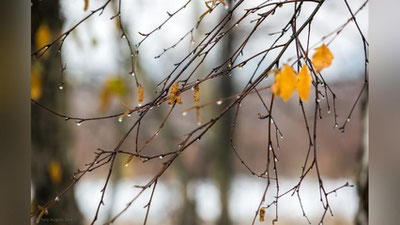 Изрображение 'ТЕМПЕРАТУРА ВОЗДУХА С 19 ОКТЯБРЯ НАЧНЕТ ПОВЫШАТЬСЯ'