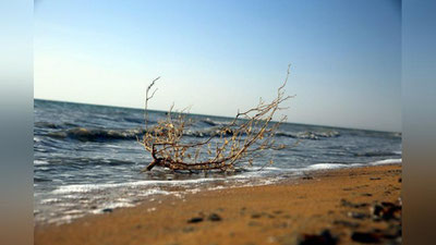 'Yo`qolayotgan dunyo izidan... Orolbo`yi safari taassurotlari 'ning rasmi