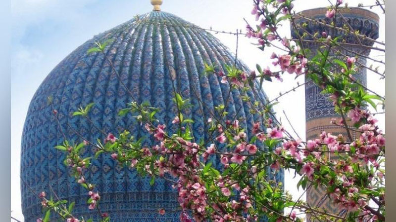 '“Kichik haj” konsepsiyasi ishlab chiqiladi'ning rasmi