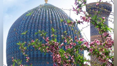 '“Kichik haj” konsepsiyasi ishlab chiqiladi'ning rasmi