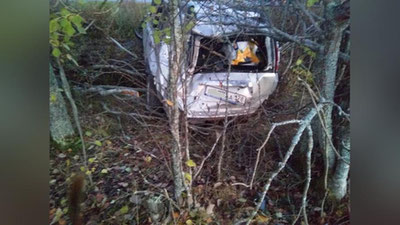 'Navoiy viloyatida piyoda umriga zomin bo`lgan avtomashina qamishzor orasidan topildi'ning rasmi