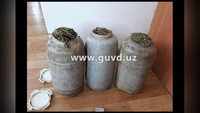 '​3 KG. GIYoHVAND MODDA QO`LGA TUShIRILDI'ning rasmi