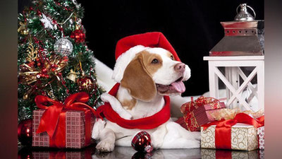 'XAYR, 2017! SALOM, YaNGI YIL!'ning rasmi