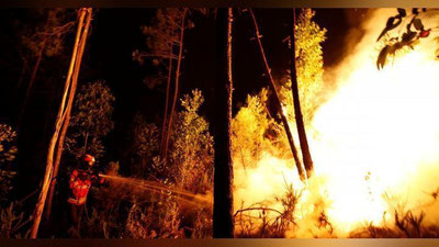 Изрображение 'ПРЕЗИДЕНТ ВЫРАЗИЛ СОБОЛЕЗНОВАНИЯ ПОРТУГАЛИИ В СВЯЗИ С ЖЕРТВАМИ ЛЕСНЫХ ПОЖАРОВ'