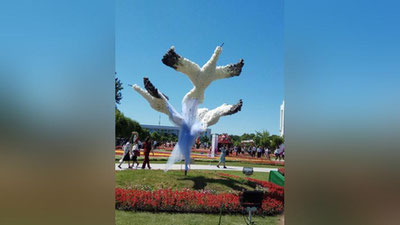 Изрображение 'ВПЕРВЫЕ В ТАШКЕНТЕ: ФЕСТИВАЛЬ ЛАНДШАФТНОГО ИСКУССТВА (ФОТОРЕПОРТАЖ)'