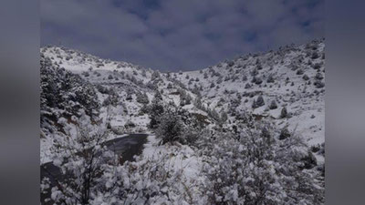 'Qashqadaryo tog`larida qor yog`di (video)'ning rasmi