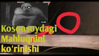 'Tezkor! Rasman: Kosonsoy tumanidagi "mahluq" g`ayritabiiy mavjudot emas!'ning rasmi