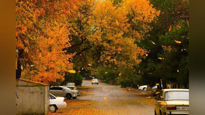 'Ertaga O`zbekistonda qanday ob-havo bo`lishi e`lon qilindi'ning rasmi