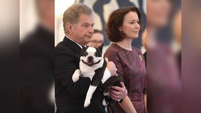 '​Finlyandiya prezidentining iti ijtimoiy tarmoqlarda mashhurlikka erishdi'ning rasmi