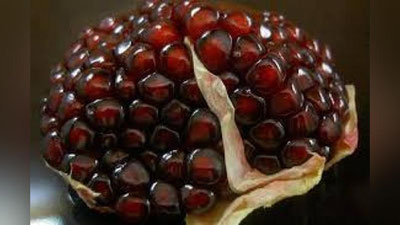 ' “O`ZAGROEKSPORT”AJ  ANOR VA XURMO MEVALARINI SOTIB OLAYaPTI'ning rasmi