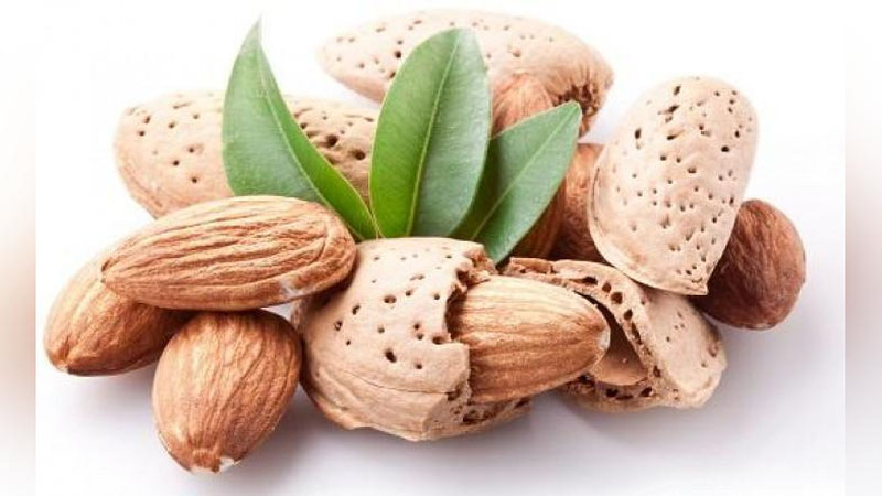 'BODOMDAN YuZ UChUN NIQOB  'ning rasmi